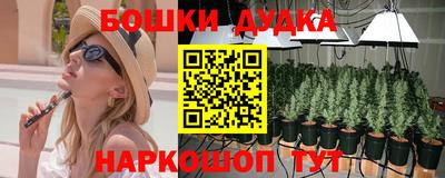 ALPHA PVP Камышлов
