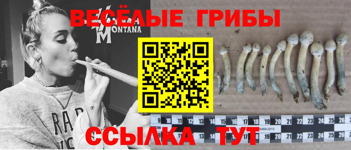 Псилоцибиновые грибы MAGIC MUSHROOMS Кашира