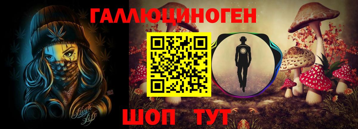 Кашира  Псилоцибиновые грибы прущие грибы  Вход с VPN 